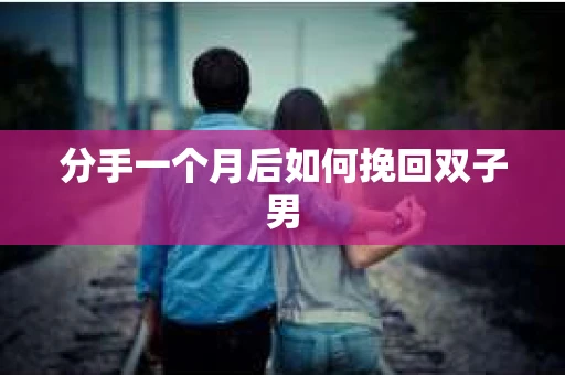 分手一个月后如何挽回双子男