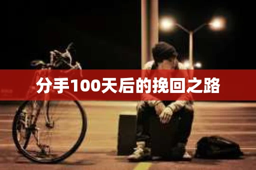 分手100天后的挽回之路