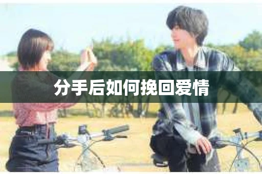 分手后如何挽回爱情