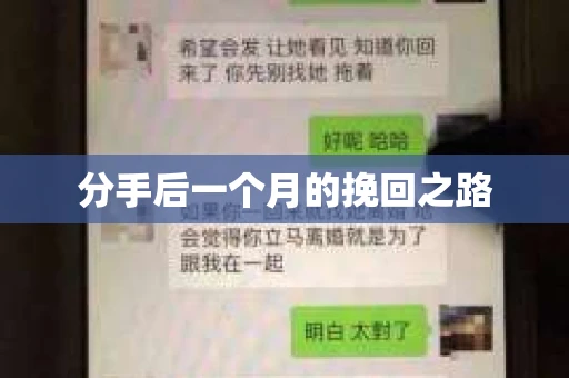 分手后一个月的挽回之路