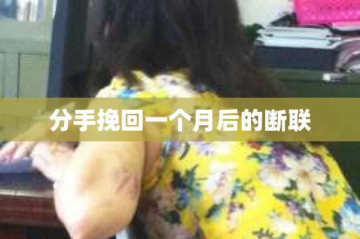 分手挽回一个月后的断联