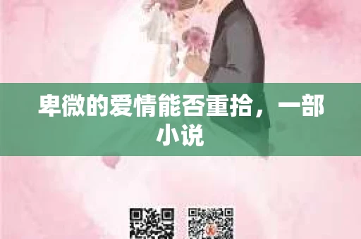 卑微的爱情能否重拾，一部小说