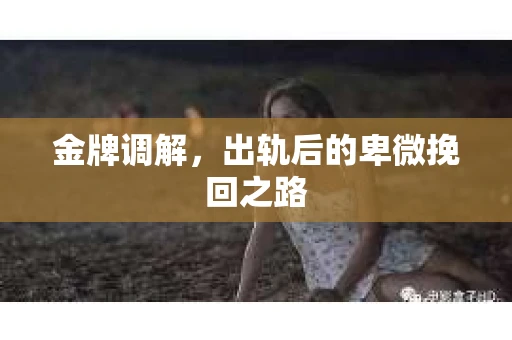 金牌调解，出轨后的卑微挽回之路