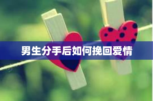 男生分手后如何挽回爱情