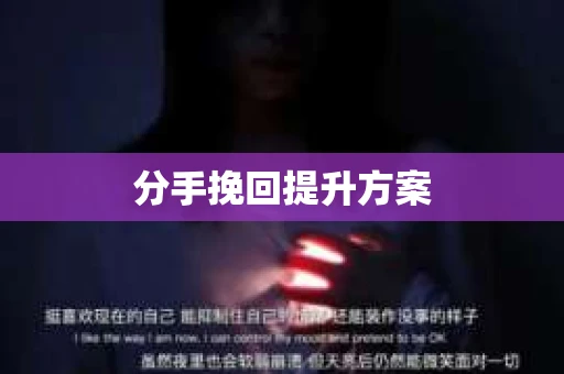 分手挽回提升方案