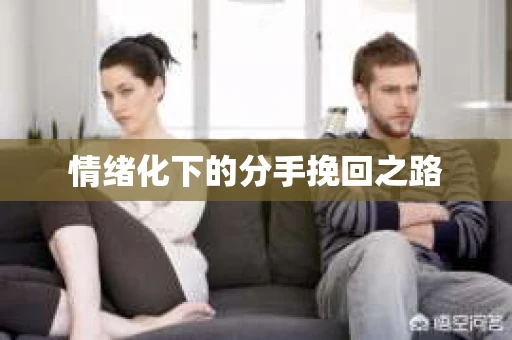 情绪化下的分手挽回之路