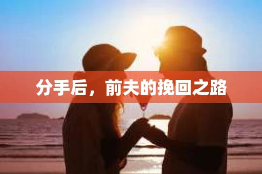 分手后，前夫的挽回之路