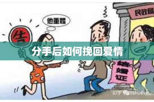 分手后如何挽回爱情