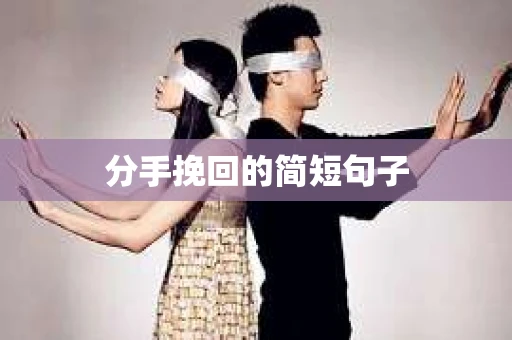 分手挽回的简短句子