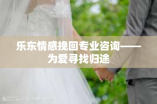乐东情感挽回专业咨询——为爱寻找归途
