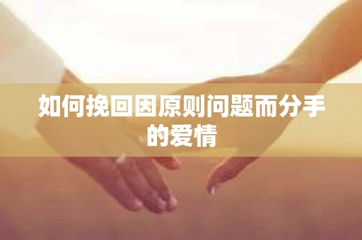 如何挽回因原则问题而分手的爱情