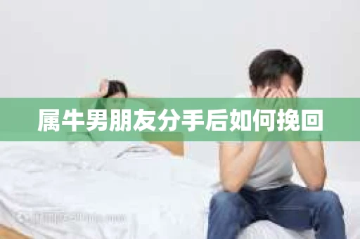 属牛男朋友分手后如何挽回