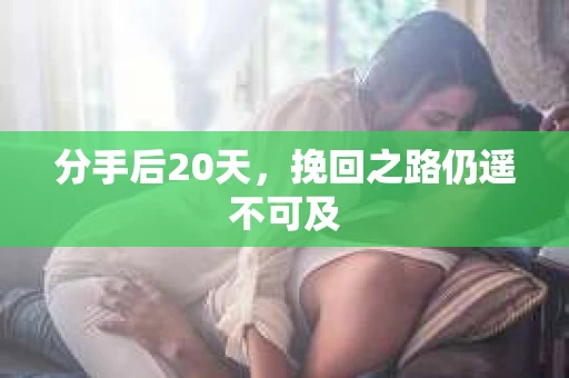 分手后20天，挽回之路仍遥不可及