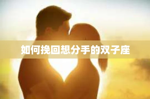 如何挽回想分手的双子座