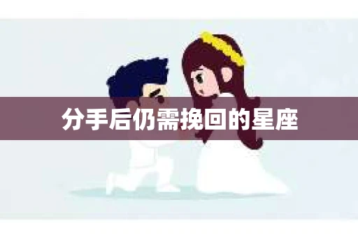 分手后仍需挽回的星座