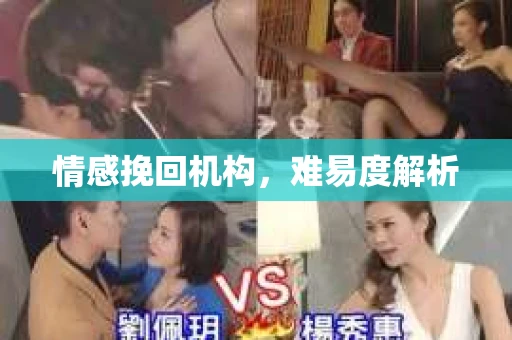 情感挽回机构，难易度解析