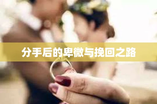 分手后的卑微与挽回之路