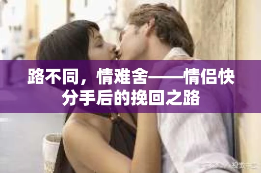 路不同，情难舍——情侣快分手后的挽回之路