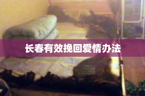 长春有效挽回爱情办法