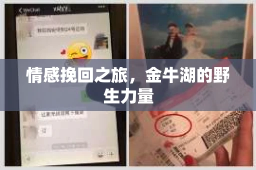 情感挽回之旅，金牛湖的野生力量