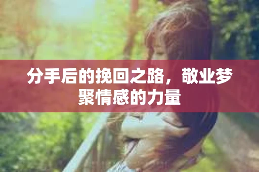 分手后的挽回之路，敬业梦聚情感的力量