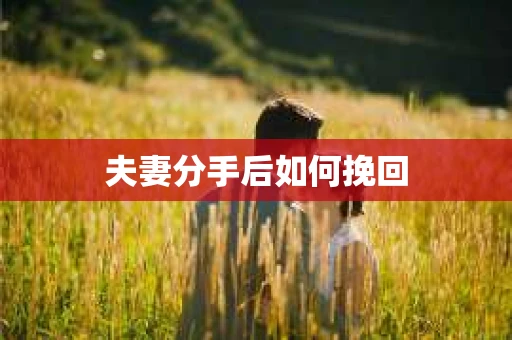 夫妻分手后如何挽回