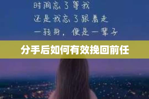 分手后如何有效挽回前任