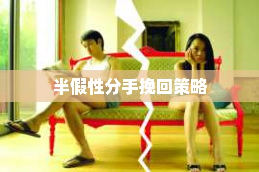 半假性分手挽回策略