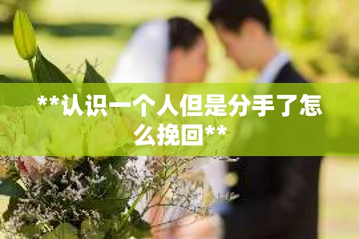 **认识一个人但是分手了怎么挽回**