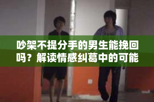 吵架不提分手的男生能挽回吗？解读情感纠葛中的可能性