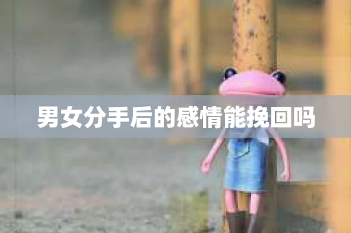 男女分手后的感情能挽回吗