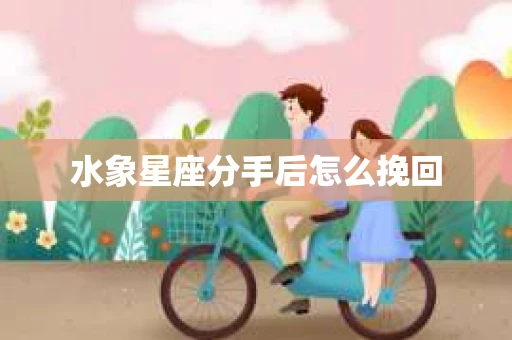 水象星座分手后怎么挽回