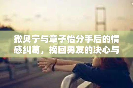 撒贝宁与章子怡分手后的情感纠葛，挽回男友的决心与努力