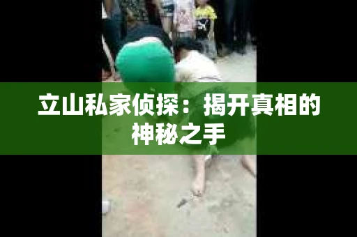 立山私家侦探：揭开真相的神秘之手