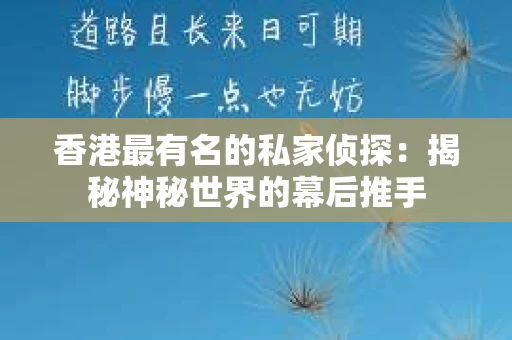 香港最有名的私家侦探：揭秘神秘世界的幕后推手