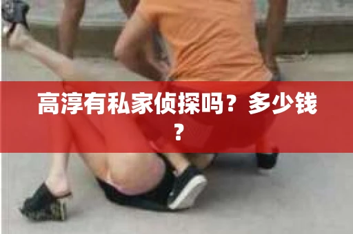高淳有私家侦探吗？多少钱？