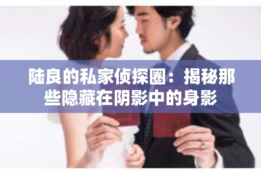 陆良的私家侦探圈：揭秘那些隐藏在阴影中的身影