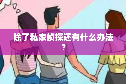除了私家侦探还有什么办法？