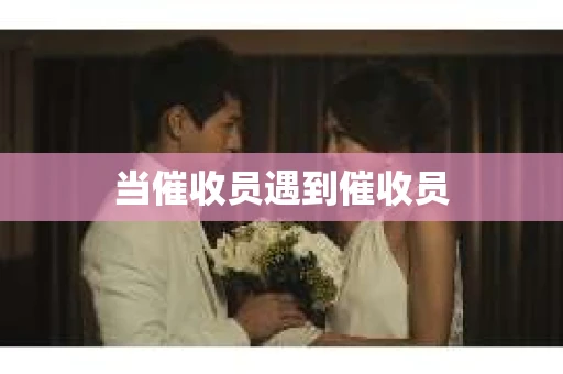 当催收员遇到催收员