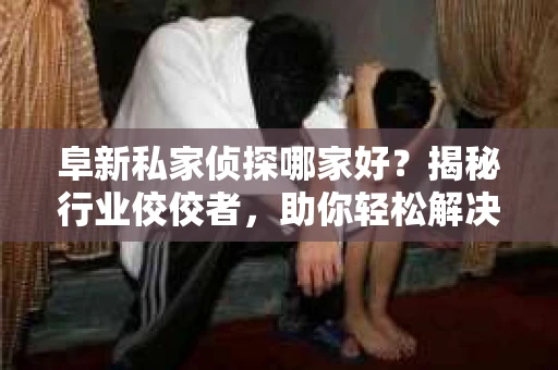 阜新私家侦探哪家好？揭秘行业佼佼者，助你轻松解决难题