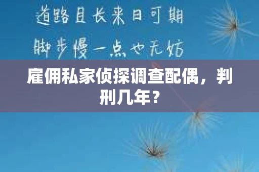 雇佣私家侦探调查配偶，判刑几年？