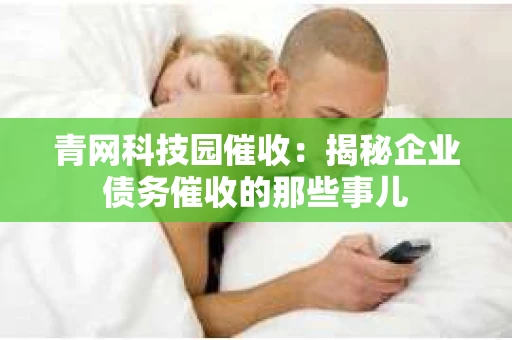 青网科技园催收：揭秘企业债务催收的那些事儿
