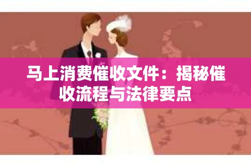 马上消费催收文件：揭秘催收流程与法律要点