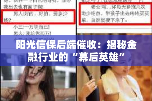 阳光信保后端催收：揭秘金融行业的“幕后英雄”