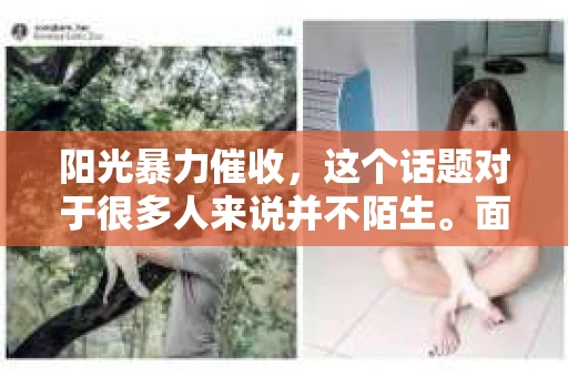 阳光暴力催收，这个话题对于很多人来说并不陌生。面对这种令人头疼的现象，我们该如何投诉呢？今天，我就来和大家聊聊这个话题。
