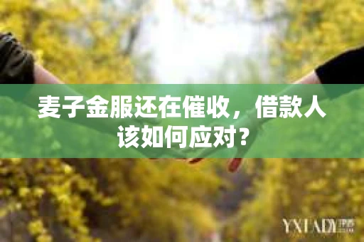 麦子金服还在催收，借款人该如何应对？