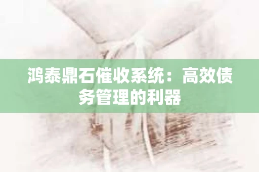 鸿泰鼎石催收系统：高效债务管理的利器