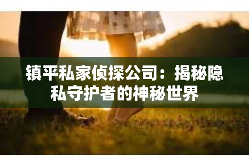 镇平私家侦探公司：揭秘隐私守护者的神秘世界