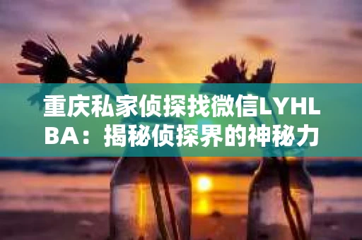 重庆私家侦探找微信LYHLBA：揭秘侦探界的神秘力量
