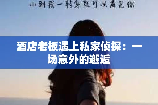 酒店老板遇上私家侦探：一场意外的邂逅